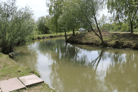 Flavell Fishery